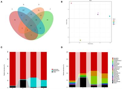 Assessment of the Endophytic Fungal Composition of Lactobacillus plantarum and Enterococcus faecalis-Fermented Astragalus membranaceus Using Single-Molecule, Real-Time Sequencing Technology